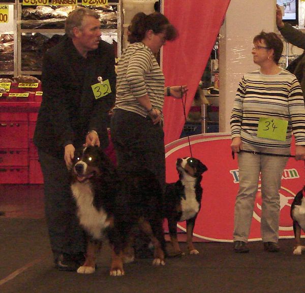 CACIB Norimberk - 17. 1. 2010