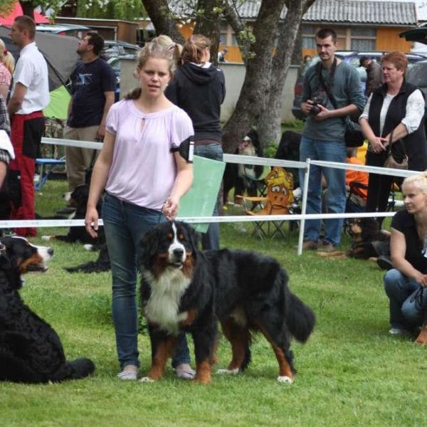 Lavík v kruhu 