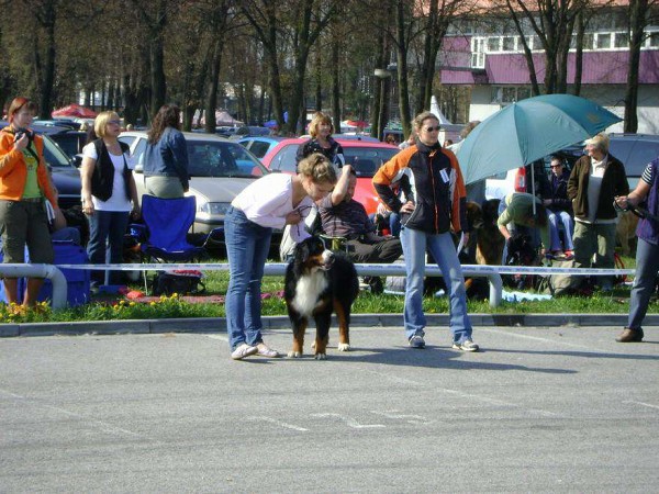 MVP České Budějovice 25. 04. 2010