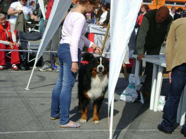 MVP České Budějovice 25. 04. 2010