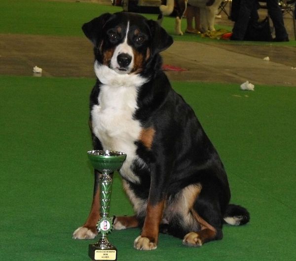 DUO CACIB Brno - Assiniboya Queen Elsa (BOB)