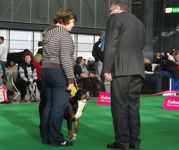 DUO CACIB Brno - Assiniboya Queen Elsa (BOB)