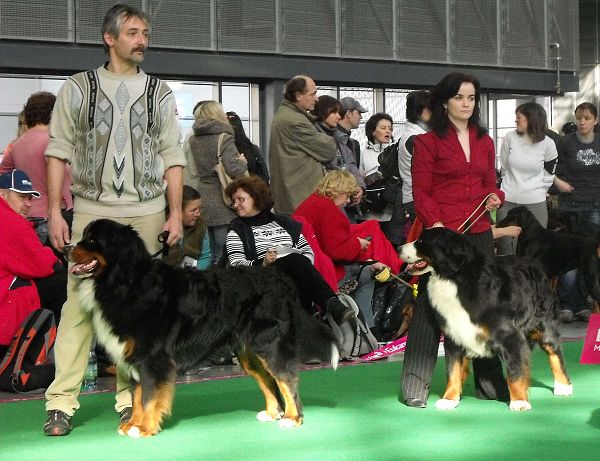 DUO CACIB Brno - nase momentky