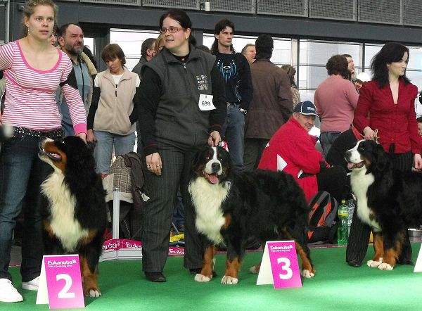 DUO CACIB Brno - nase momentky