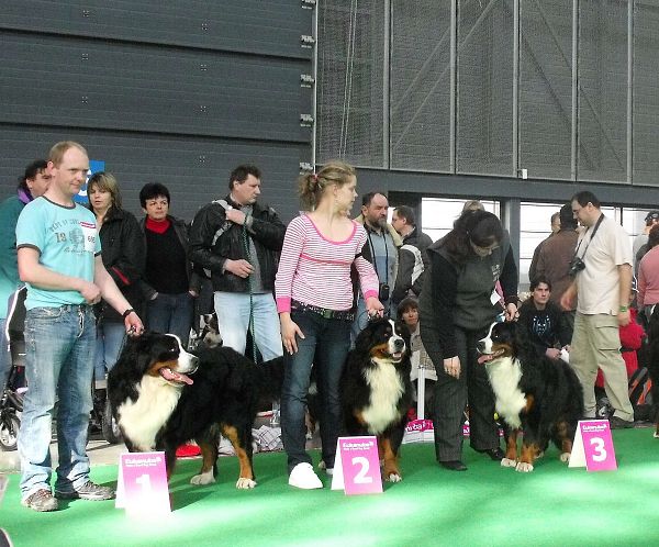 DUO CACIB Brno - nase momentky