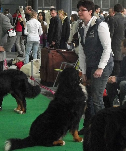 DUO CACIB Brno - nase momentky