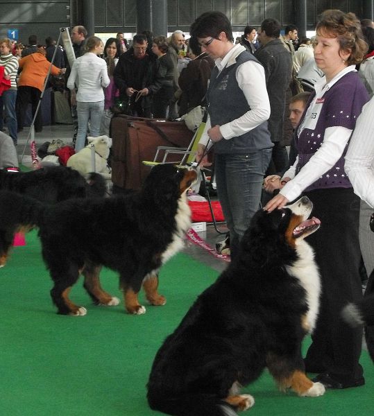 DUO CACIB Brno - nase momentky