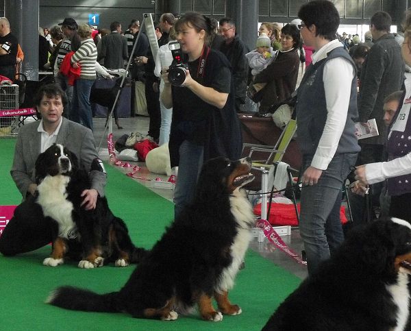 DUO CACIB Brno - nase momentky