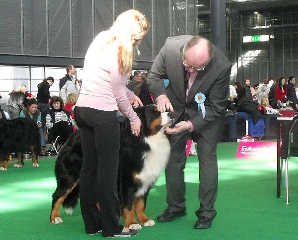 DUO CACIB Brno - nase momentky