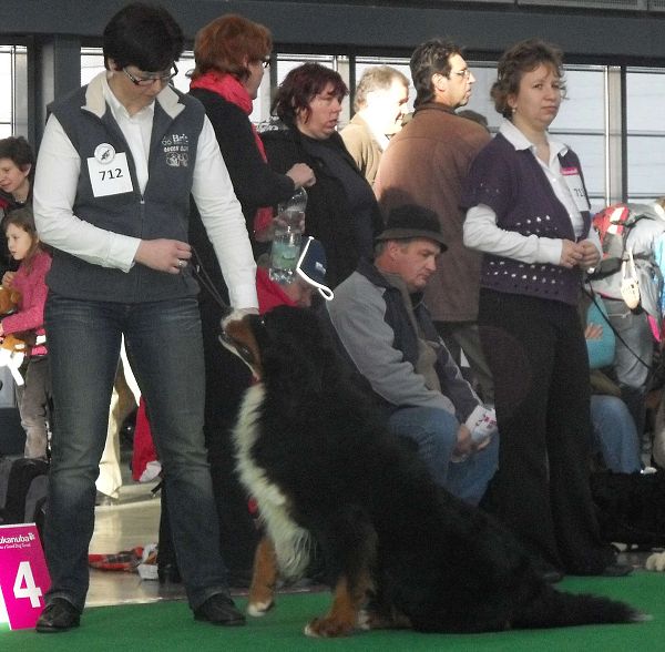 DUO CACIB Brno - nase momentky