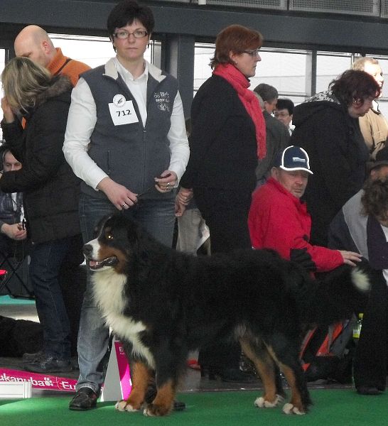 DUO CACIB Brno - nase momentky