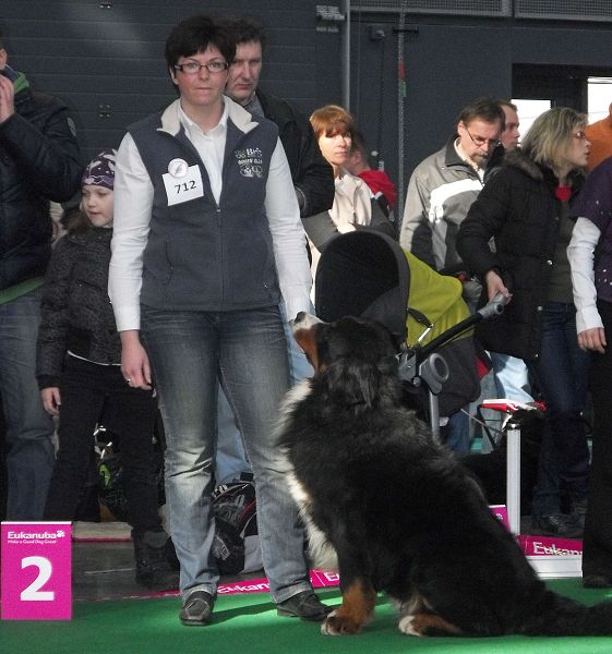 DUO CACIB Brno - nase momentky