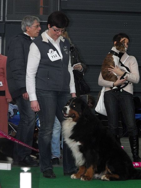 DUO CACIB Brno - nase momentky