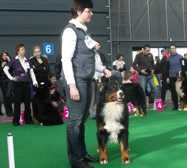 DUO CACIB Brno - nase momentky