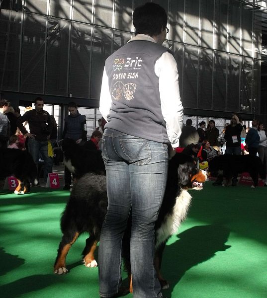 DUO CACIB Brno - nase momentky