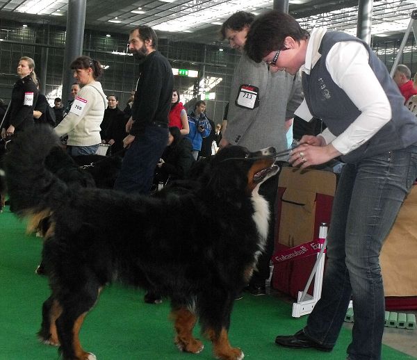 DUO CACIB Brno - nase momentky