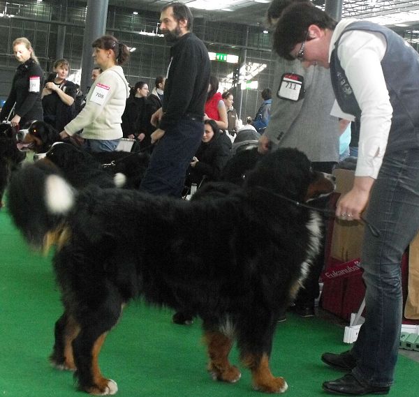 DUO CACIB Brno - nase momentky