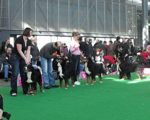 DUO CACIB Brno - nase momentky