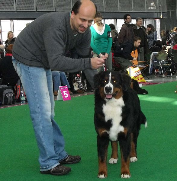 DUO CACIB Brno - nase momentky