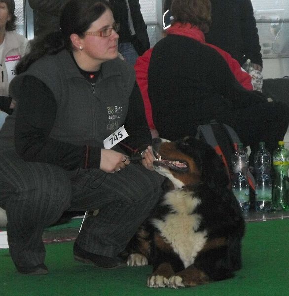 DUO CACIB Brno - nase momentky