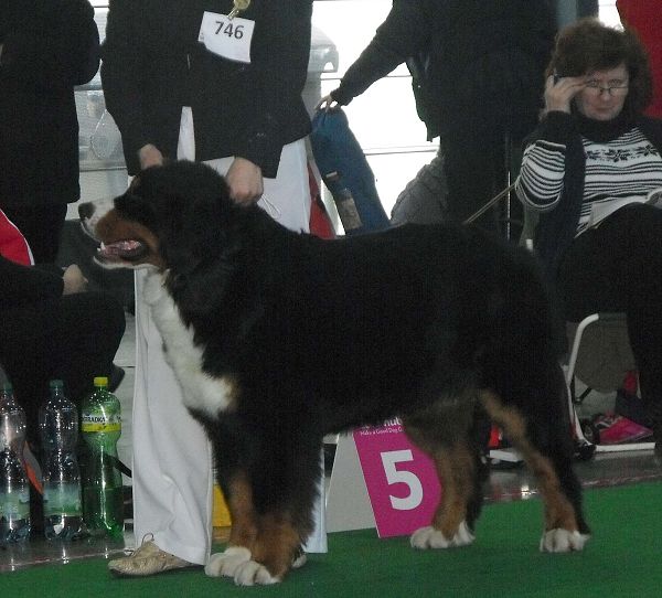 DUO CACIB Brno - nase momentky