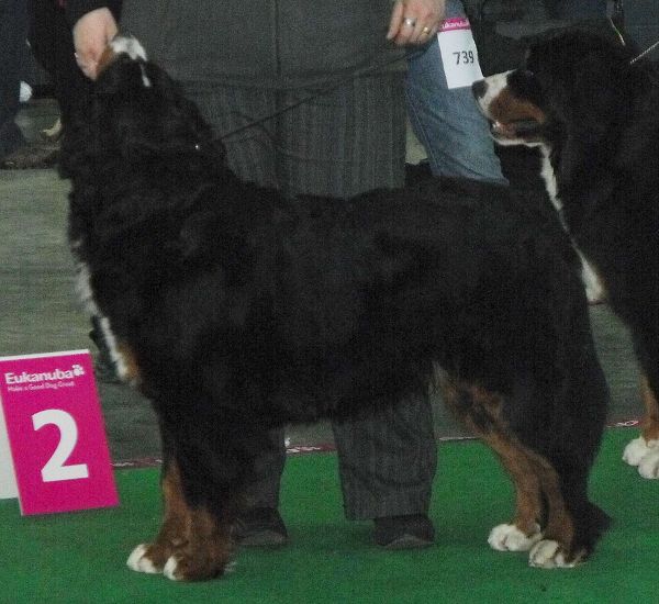 DUO CACIB Brno - nase momentky