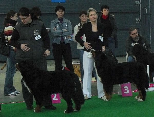 DUO CACIB Brno - nase momentky