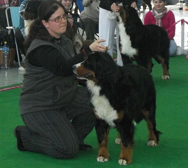 DUO CACIB Brno - nase momentky