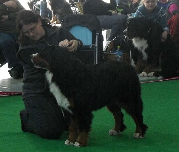 DUO CACIB Brno - nase momentky