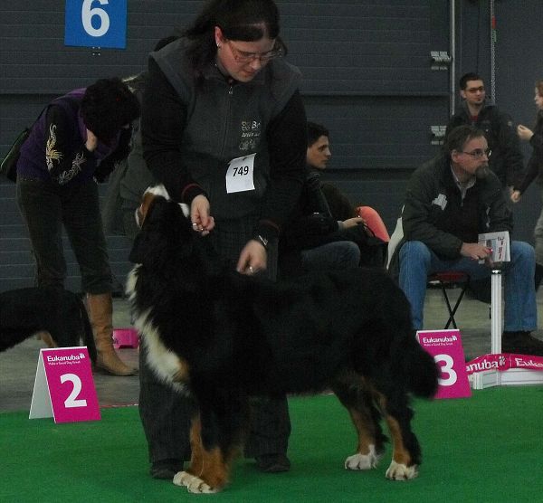 DUO CACIB Brno - nase momentky