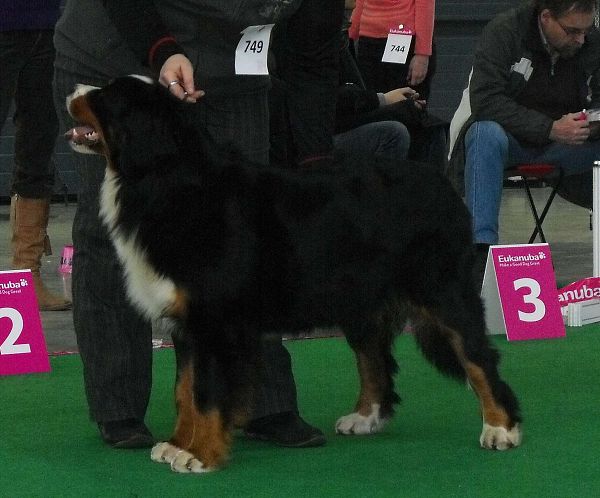 DUO CACIB Brno - nase momentky