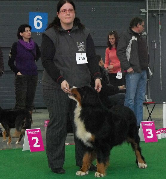 DUO CACIB Brno - nase momentky