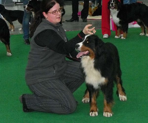 DUO CACIB Brno - nase momentky