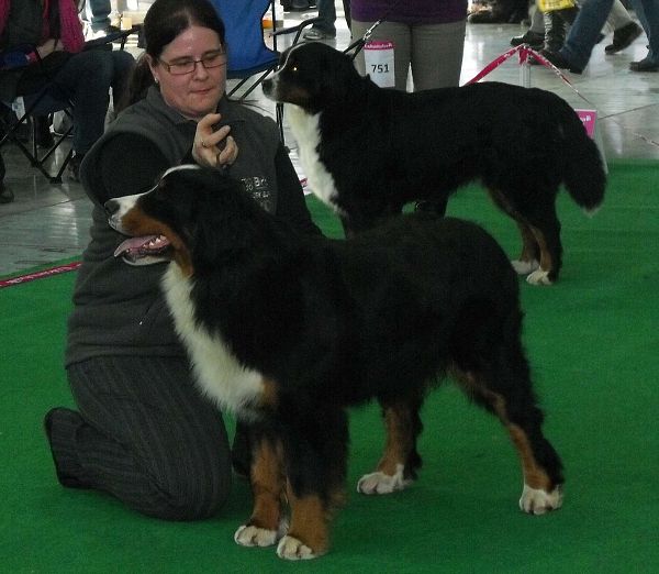 DUO CACIB Brno - nase momentky