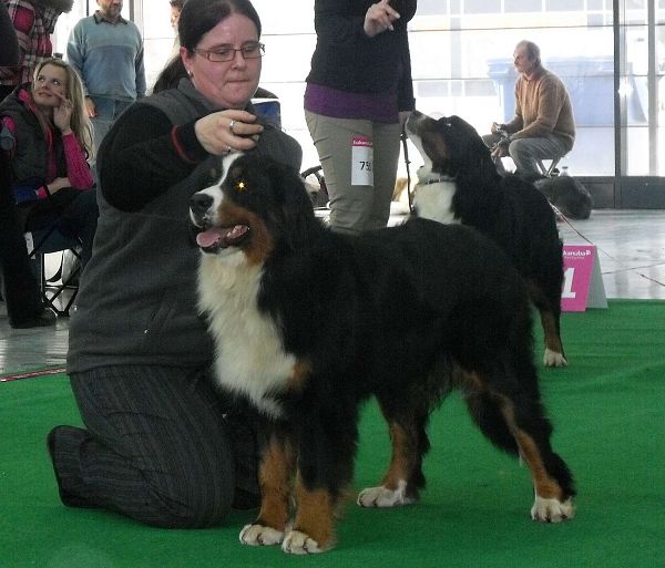 DUO CACIB Brno - nase momentky