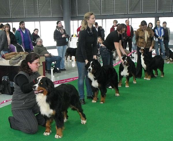 DUO CACIB Brno - nase momentky