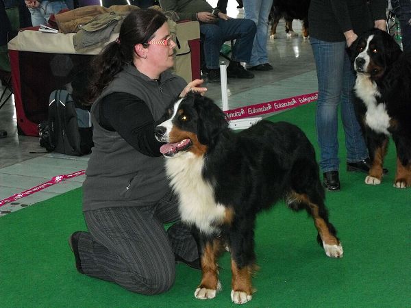 DUO CACIB Brno - nase momentky