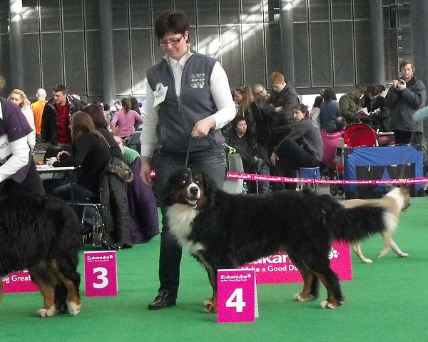 DUO CACIB Brno - nase momentky