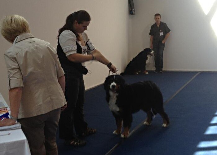 DUO CACIB Innsbruck 11.-12.8.2012