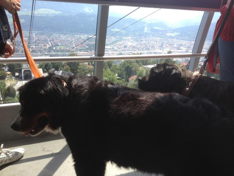 DUO CACIB Innsbruck 11.-12.8.2012