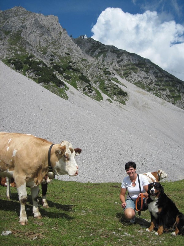 DUO CACIB Innsbruck 11.-12.8.2012