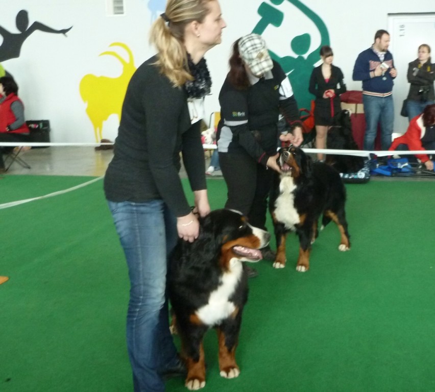 MVP České Budějovice 1. 4. 2012
