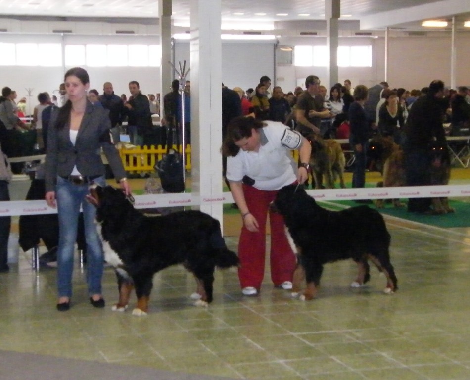 DUO CACIB Nitra 24.-25.3.2012