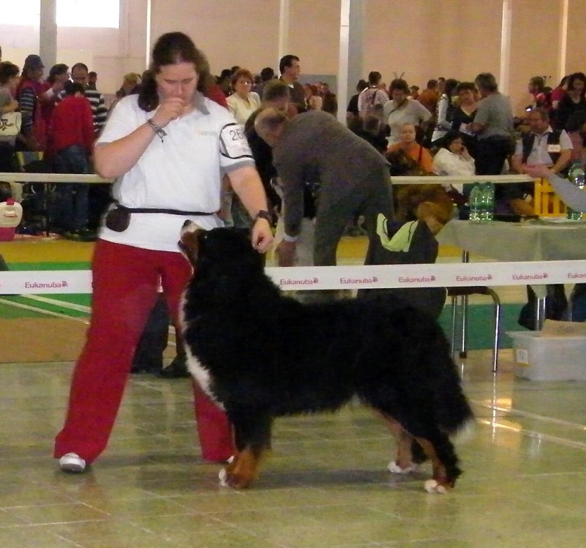 DUO CACIB Nitra 24.-25.3.2012