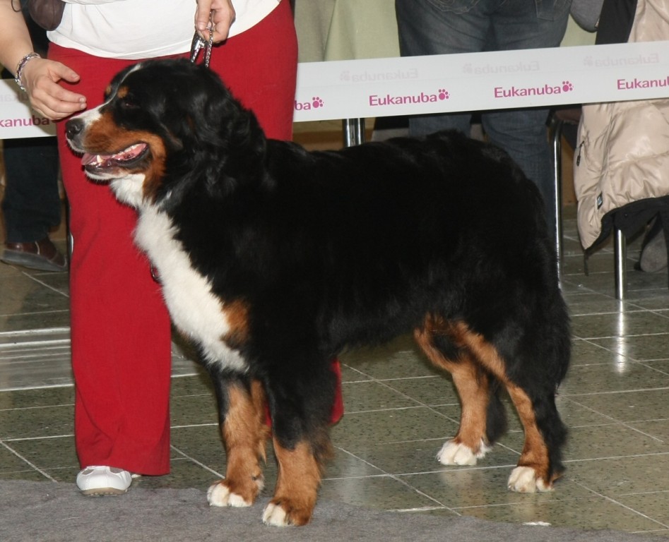 DUO CACIB Nitra 24.-25.3.2012