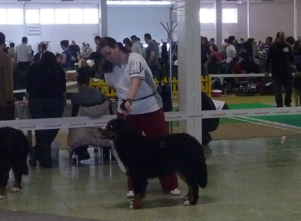 DUO CACIB Nitra 24.-25.3.2012