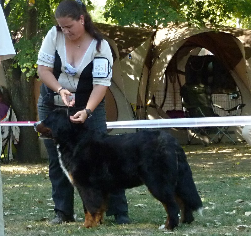DUO CACIB Székesfehérvár 8.-9. 9. 2012