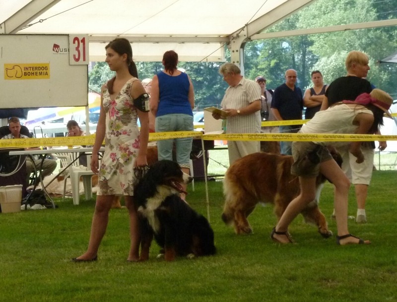 NVP Mladá Boleslav 20.7.2014