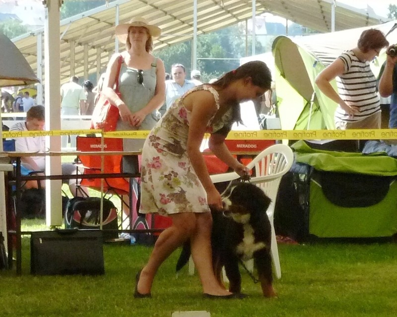 NVP Mladá Boleslav 20.7.2014
