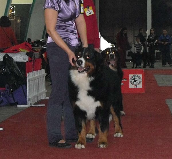 DSCF5248 